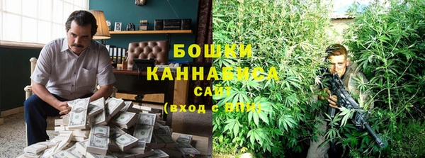 сатива Заволжск